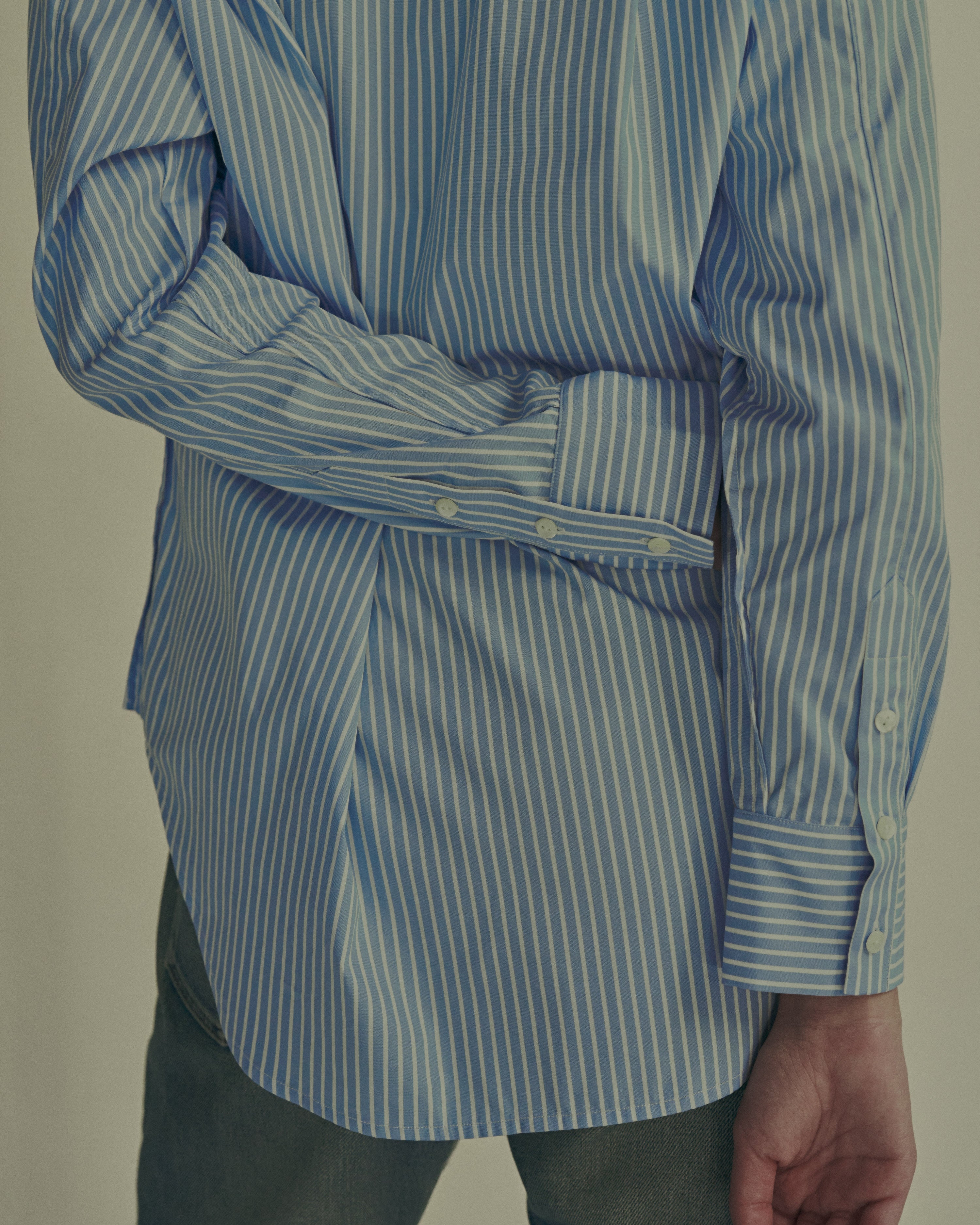 The Boss Dog | Clarion Stripe