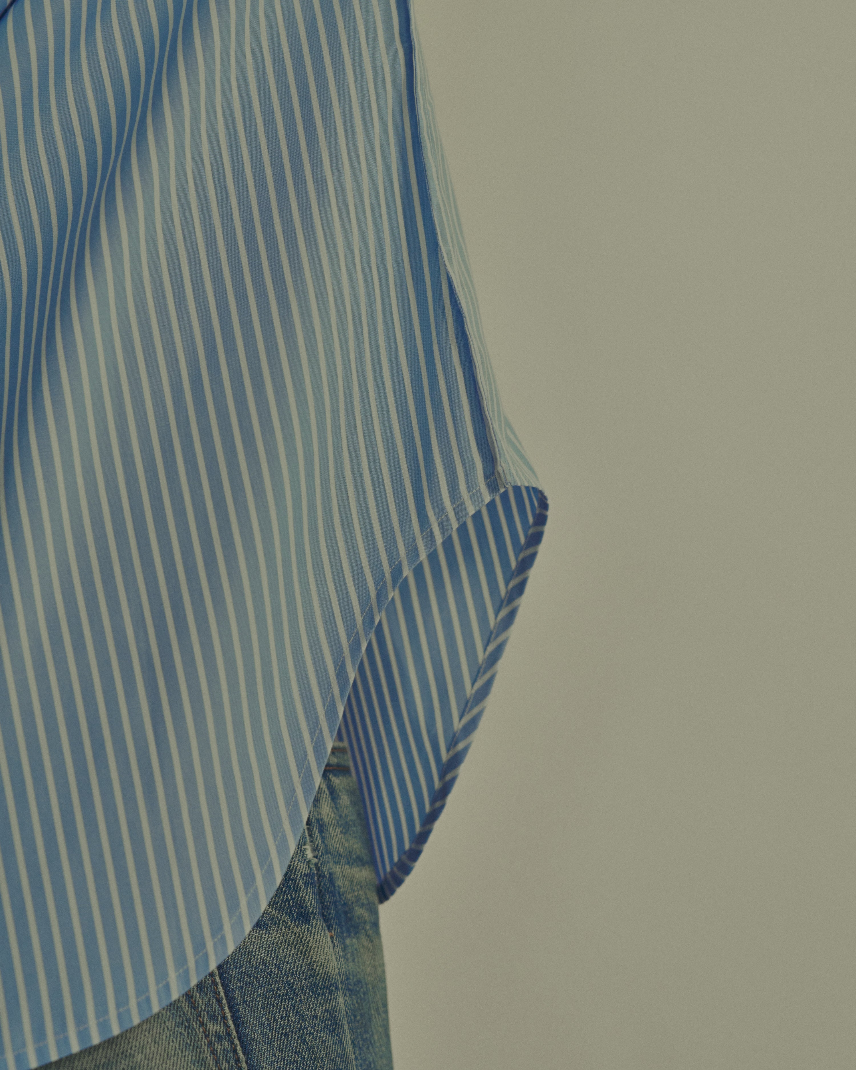 The Boss Dog | Clarion Stripe