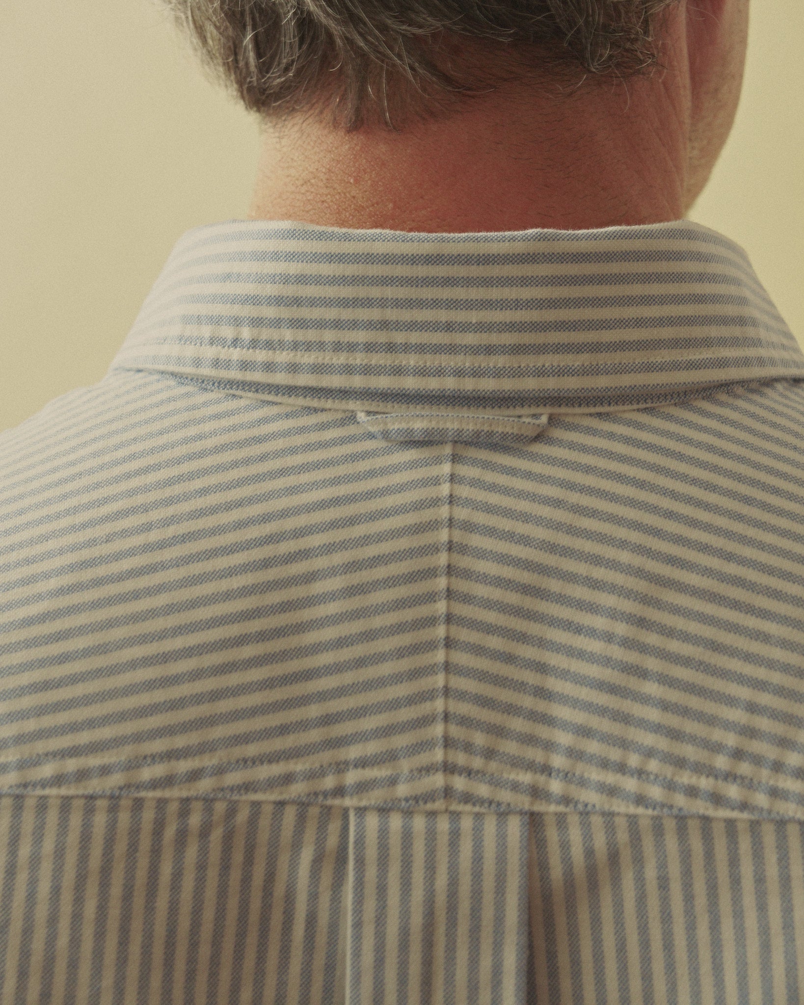Scout's Honor | Skyrail Japanese Oxford